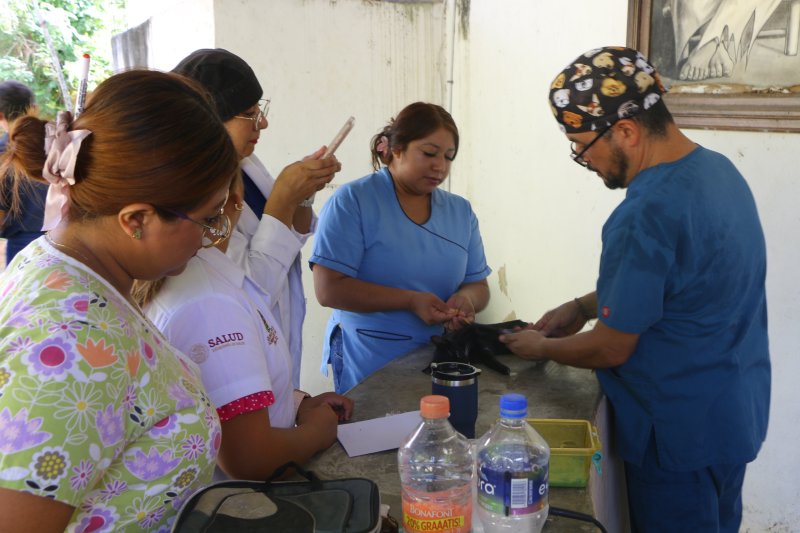 Arranca jornada de esterilización canina y felina