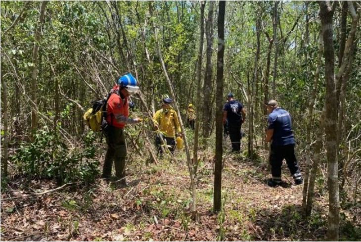 <a href="https://www.lajornadamaya.mx/quintana-roo/195938/buscan-voluntarios-para-combatir-incendios-en-playa-del-carmen-y-tulum#">Buscan voluntarios para combatir incendios en ‘Playa’ y Tulum</a>