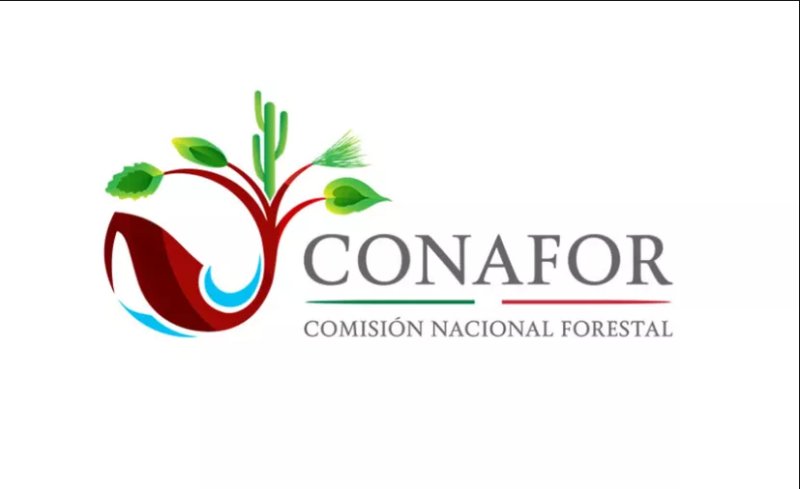 Conafor recibirá $100 Mlls en aumento de presupuesto en 2022