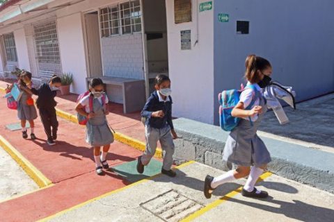 El nuevo ciclo escolar será presencial para quien lo desee y en línea para los demás