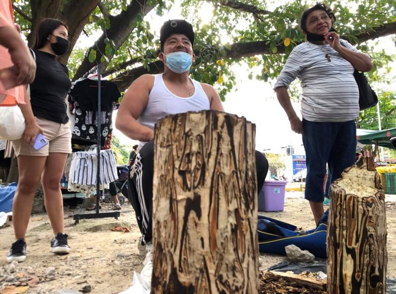 El palo de víbora llega a Cancún; es sumamente milagroso y curativo, según herbolarios.