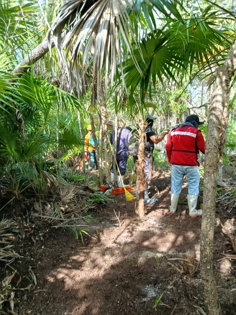 Elementos de los tres órdenes de gobierno intentan sofocar incendio en Holbox.