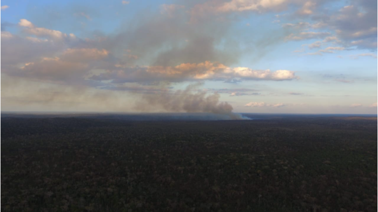 Enfrenta Quintana Roo su primer incendio forestal de la temporada