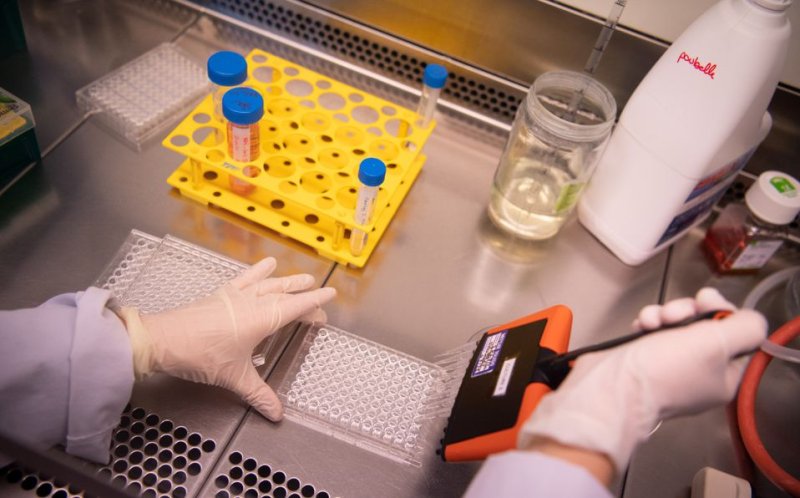 Fármaco español reduce casi al 100 por ciento la carga viral del coronavirus