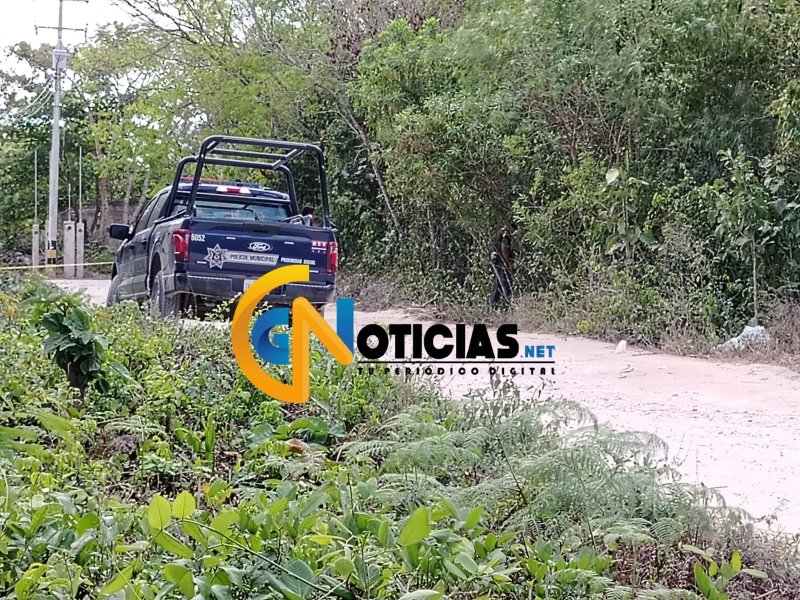 Hallan cráneo humano en un área verde de la colonia irregular Santa Cecilia.