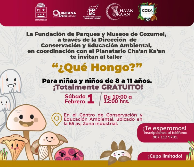 Invita la FPMC y el Planetario de Cozumel Cha’an Ka’an al taller gratuito “¿Qué Hongo?”