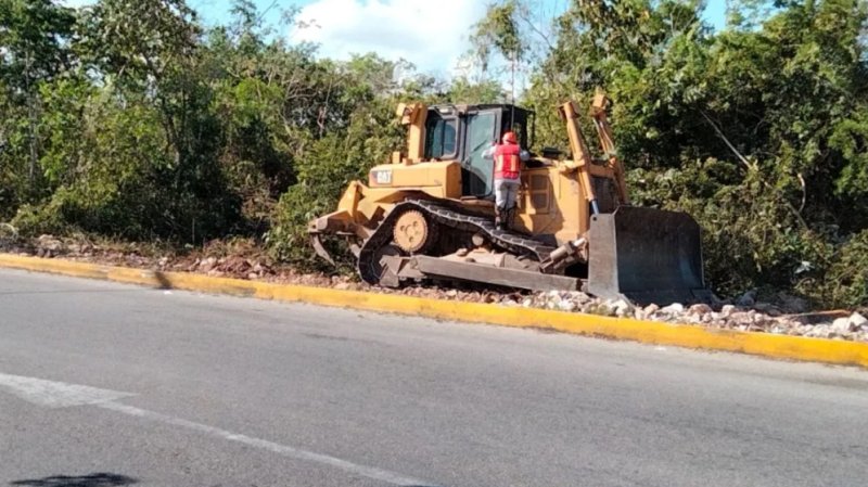 Continúa el desmonte de selva en Quintana Roo para vías del Tren Maya, pese a un amparo￼