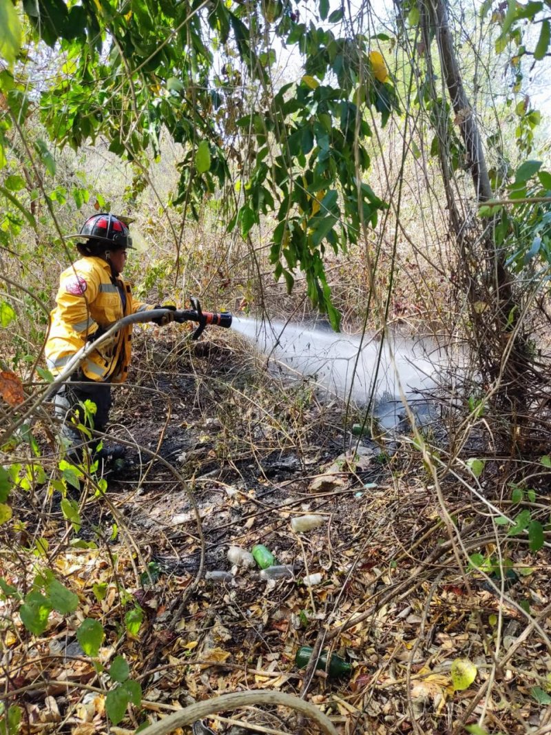 Controlan incendio en CTM y Lilis gracias a respuesta inmediata del Gobierno de Playa del Carmen