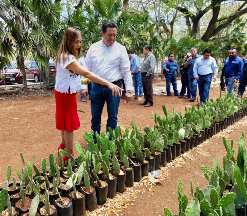 SEDER y el Instituto Tecnológico de Conkal firman conveniopara aumentar la producción del campo yucateco