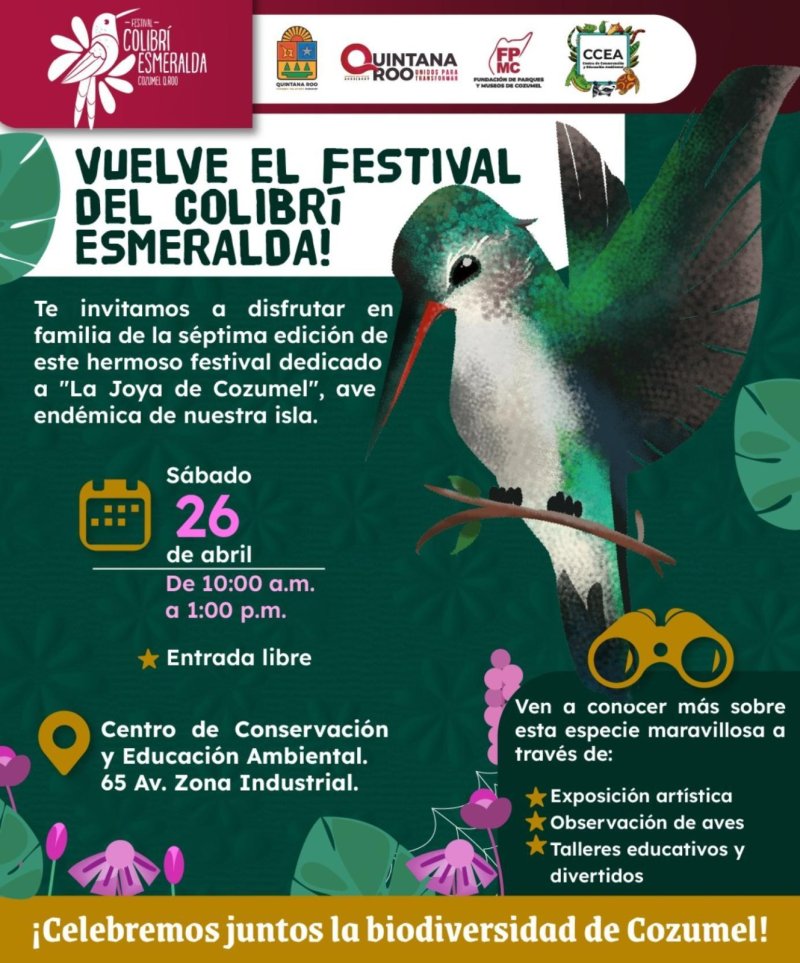 Invita la FPMC al Festival del Colibrí Esmeralda para fomentar el cuidado ambiental y la observación de aves en Cozumel