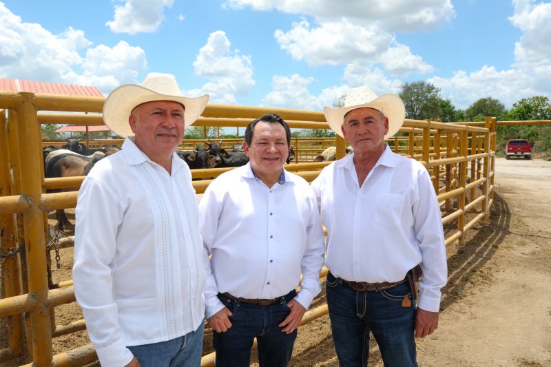 RENACIMIENTO MAYA IMPULSA EL CAMPO CON MECANIZACIÓN, RIEGO E INSEMINACIÓN ARTIFICIAL PARA GANADO