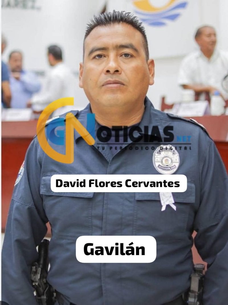 Corrupción e impunidad en Cancún: El manto de protección de Pablo Gutiérrez sobre David Flores “Gavilan”