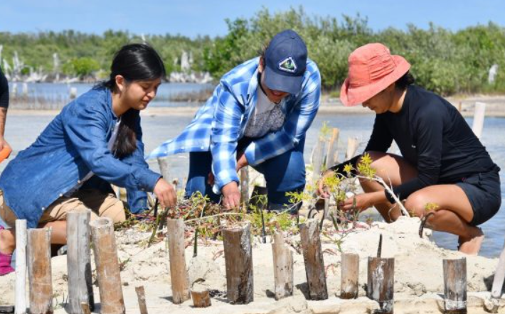 Estudiantes de la UACH se suman acciones de restauración, conservación y educación ambiental en Cozumel
