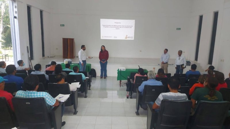 Con el gobierno de Mara Lezama llegó la hora de la transformación del campo de Quintana Roo: Linda Cobos