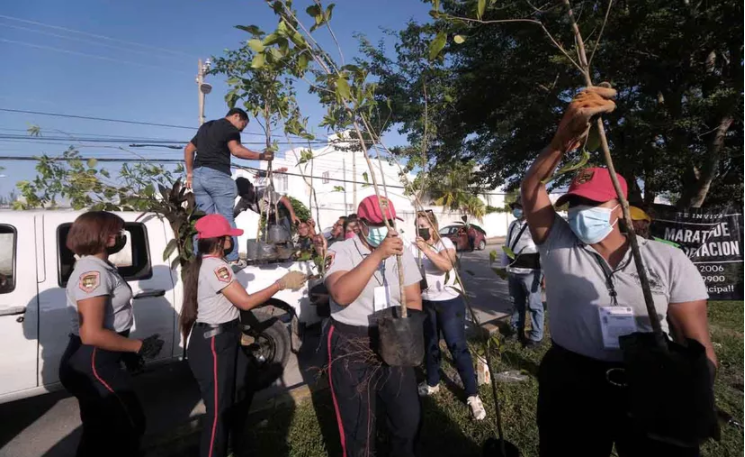 Participan voluntarios, topos y bomberos en maratónica reforestación