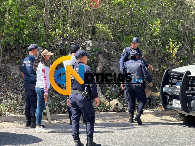 Realizan operativo de búsqueda de personas desaparecidas en área verde de Paseos del Mar