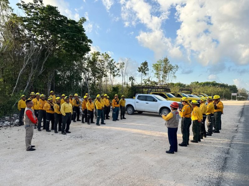 Registra COEPROC 8 incendios forestales activos en lo que va de la temporada 2025