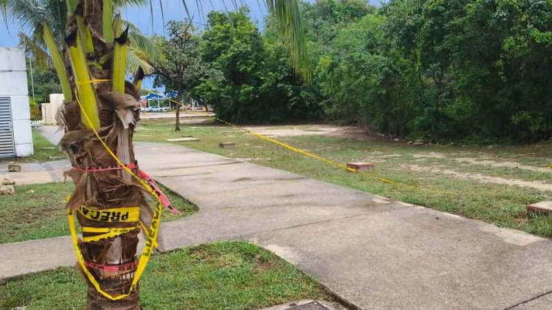 Cocodrilo reportado cerca del Teatro de la Ciudad en Playa del Carmen