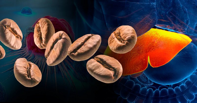 El café protege el hígado: estudios vinculan consumo con menor riesgo