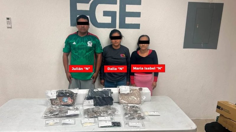 Siete detenidos y drogas aseguradas en tres cateos en Playa del Carmen y Benito Juárez